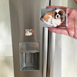 Dog Magnet on Fridge
