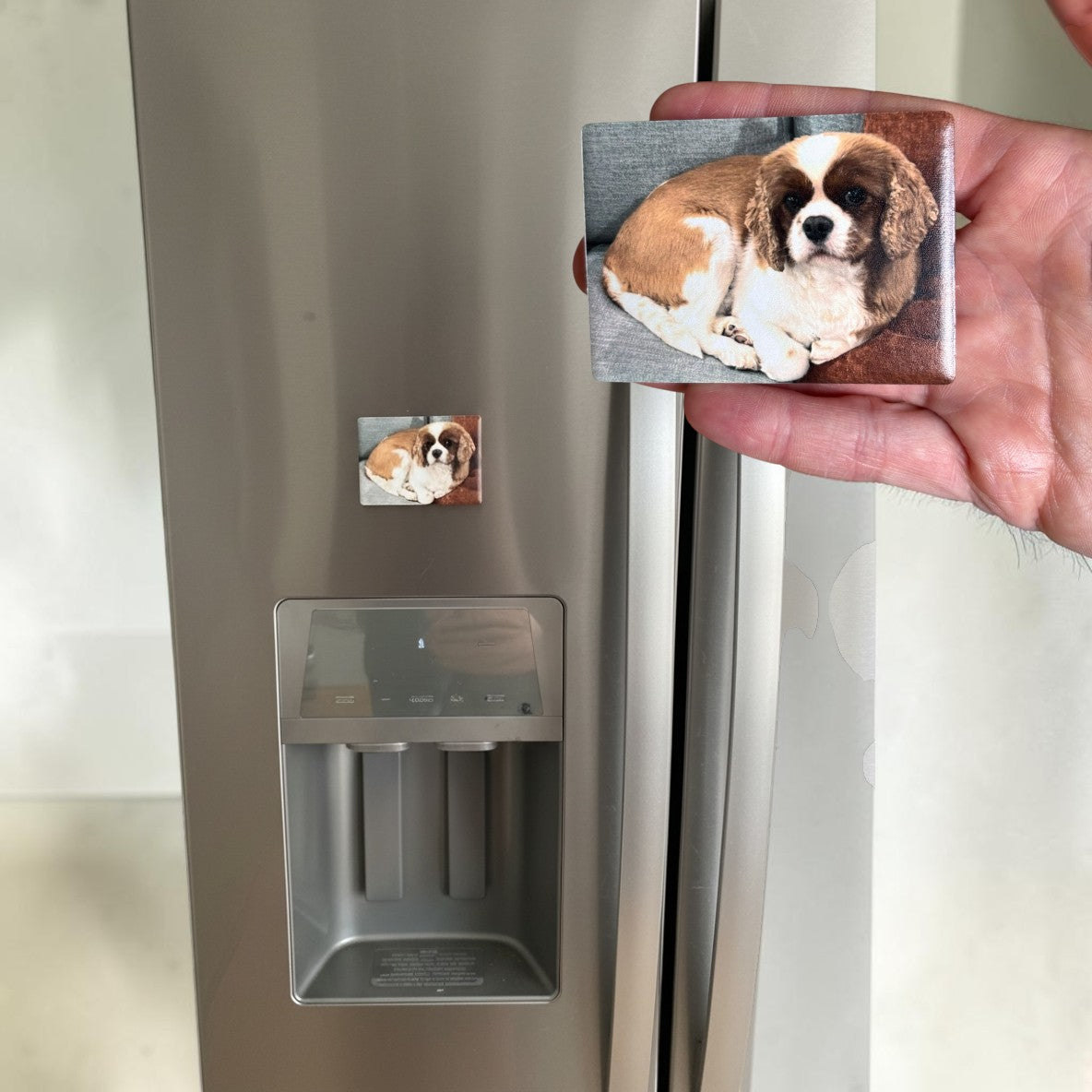 Dog Magnet on Fridge