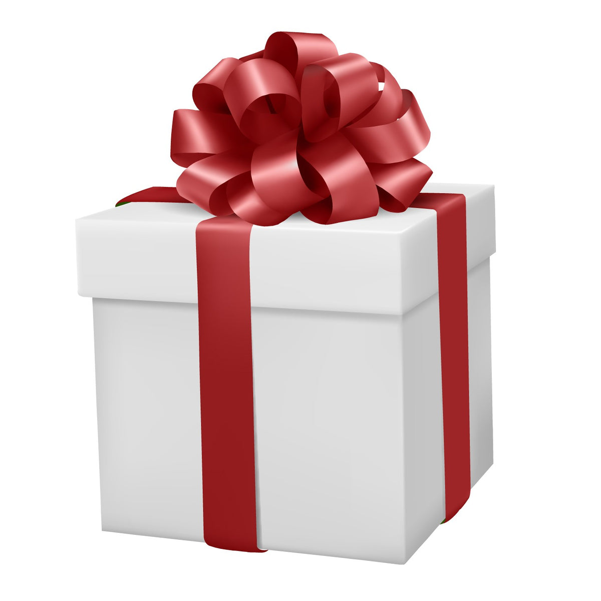 White gift box with red ribbon and bow, ideal for gift card or pet accessory present.